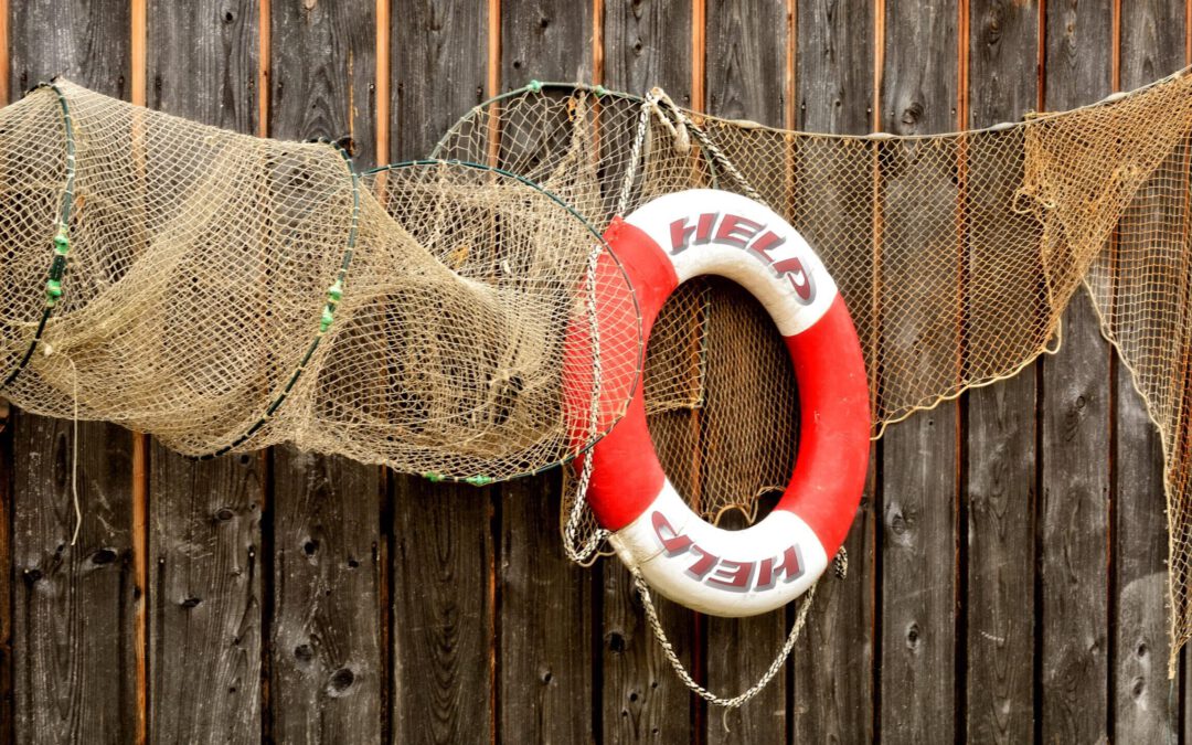 MACHOLD „rettet“ Ihr Projekt. Garantiert!
